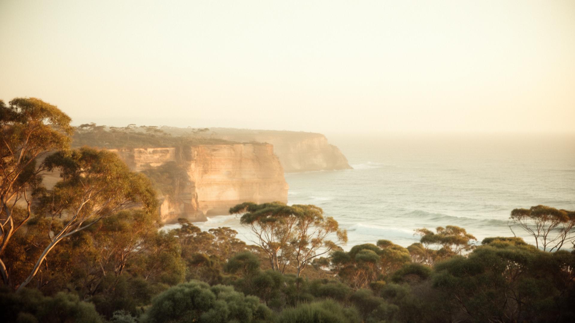 Golden hour over an Australian coastline with eucalyptus trees in the foreground and sandstone cliffs in the distance
